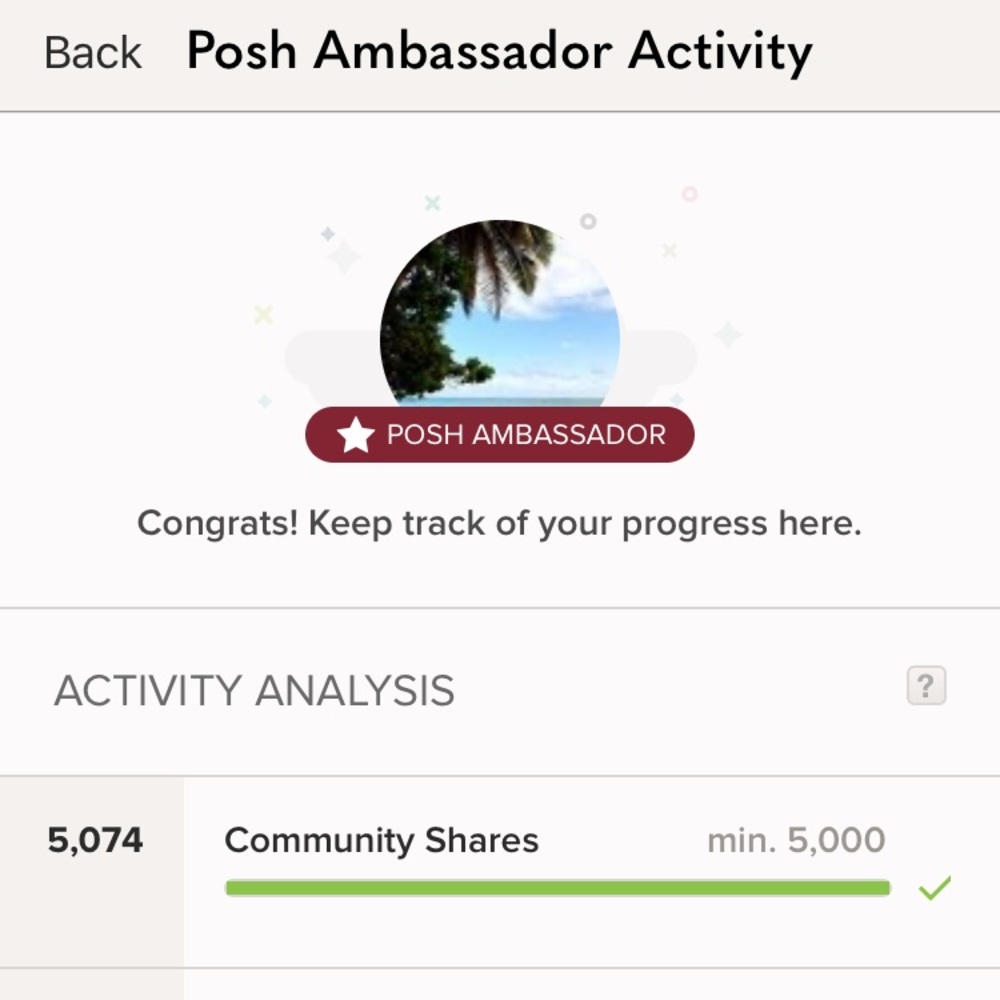 ⭐️ POSH AMBASSADOR ⭐️ - Picture 4 of 7
